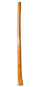 Gloss Finish Didgeridoo (TW1171)